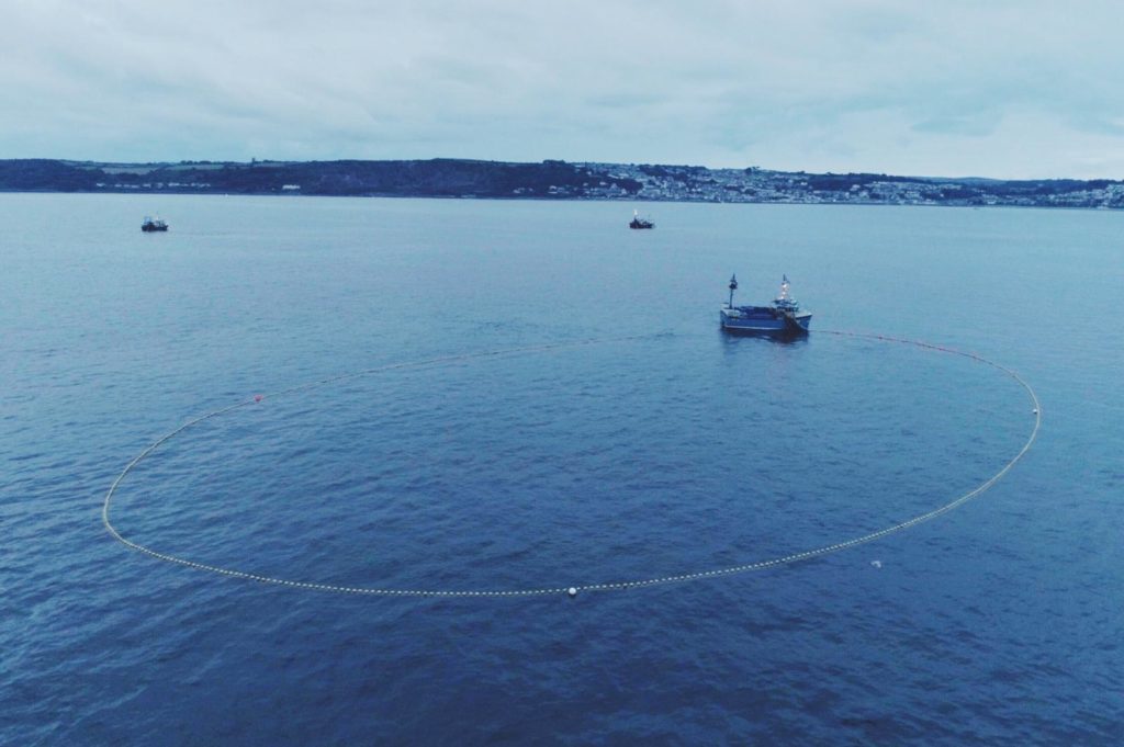 Where do your sardines come from? Seafood Cornwall